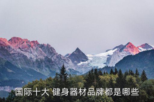 廣東健身器材廠(chǎng)家十強(qiáng)有哪些,廣東室外健身器材廠(chǎng)家