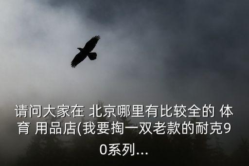 請問大家在 北京哪里有比較全的 體育 用品店(我要掏一雙老款的耐克90系列...