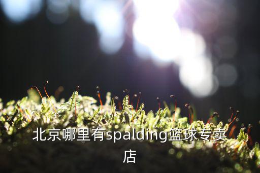 昌平哪里有賣體育用品的,天津哪里賣體育用品