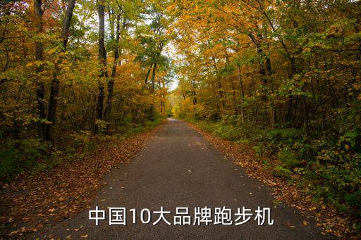 中國(guó)10大品牌跑步機(jī)