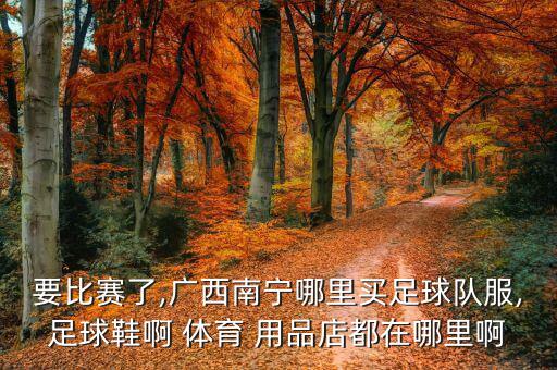 要比賽了,廣西南寧哪里買足球隊(duì)服,足球鞋啊 體育 用品店都在哪里啊
