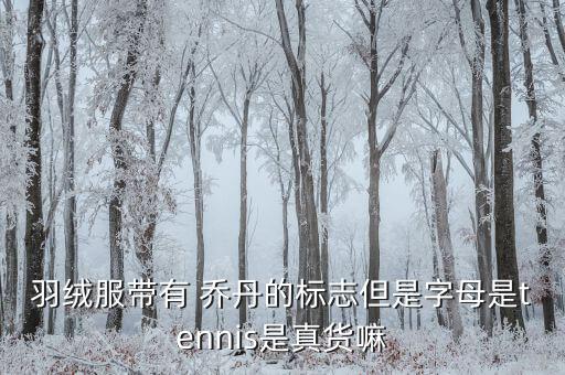 羽絨服帶有 喬丹的標志但是字母是tennis是真貨嘛