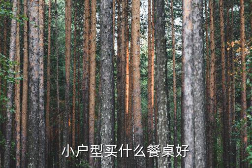 簡(jiǎn)易小桌子