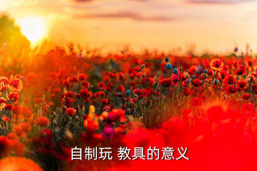 簡單自制玩教具圖片,自制play教具制作過程（一）