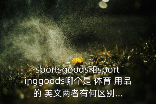 英文體育用品店名稱怎么寫,武漢武吉班讓你購物中心詳情
