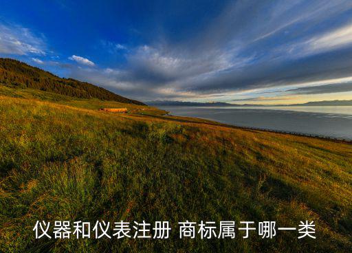 儀器和儀表注冊(cè) 商標(biāo)屬于哪一類