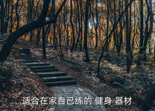 什么健身器材可以鍛煉全身,家庭最實用的健身器材