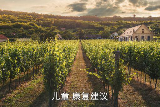康復中心方案和計劃書,殘疾人康復中心運營方案