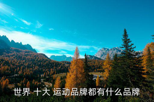 世界 十大 運動品牌都有什么品牌