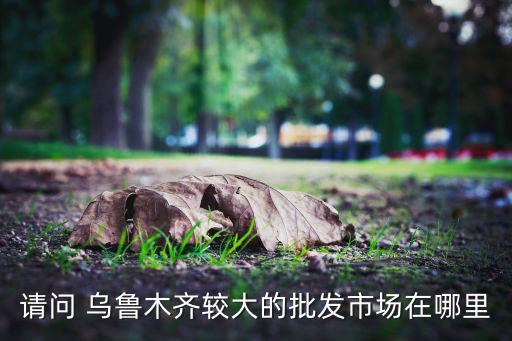 請(qǐng)問 烏魯木齊較大的批發(fā)市場(chǎng)在哪里