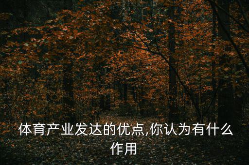  體育產(chǎn)業(yè)發(fā)達(dá)的優(yōu)點(diǎn),你認(rèn)為有什么作用