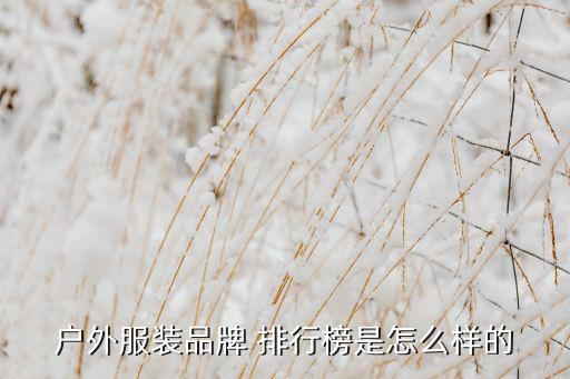 國外運(yùn)動(dòng)服品牌排行榜,哥倫比亞戶外運(yùn)動(dòng)服裝品牌排行榜前五名