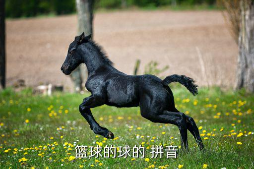 體育用品的拼音有哪些,rr\n相關(guān)詞:足球、網(wǎng)球、手球等