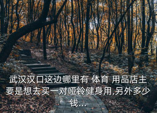 武漢漢口這邊哪里有 體育 用品店主要是想去買一對啞鈴健身用,另外多少錢...