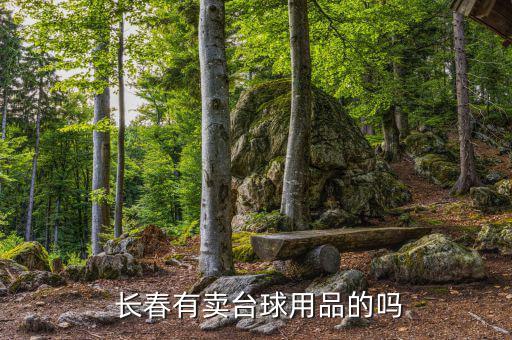  長春有賣臺球用品的嗎