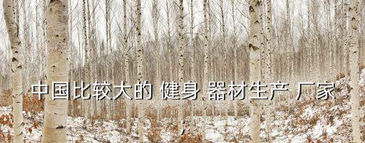 健身器材的生產(chǎn)廠家,國內(nèi)很多工廠的健身-1/產(chǎn)品還不錯