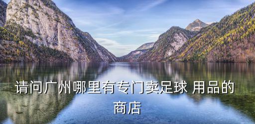 請問廣州哪里有專門賣足球 用品的 商店