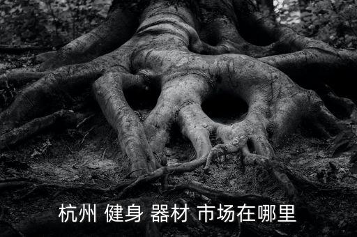 室外健身器材批發(fā)市場(chǎng)在哪里有,成都健身器材批發(fā)市場(chǎng)在哪里