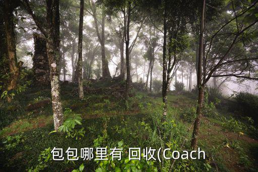 高價(jià)上門(mén)回收一切舊貨,平衡車舊貨上門(mén)回收電話