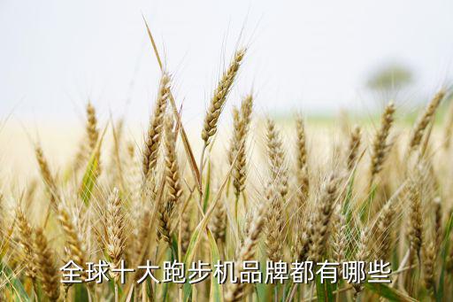 體育器材品牌排名,江蘇體育器材生產(chǎn)廠家排名