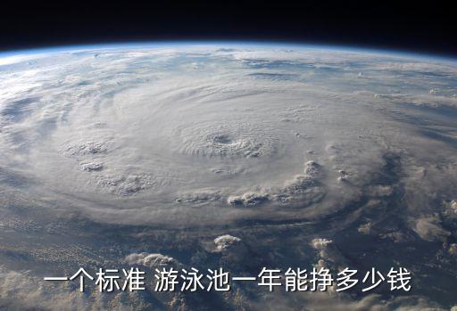 一個(gè)標(biāo)準(zhǔn) 游泳池一年能掙多少錢(qián)