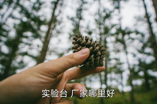 實(shí)驗(yàn)臺(tái) 廠家哪里好
