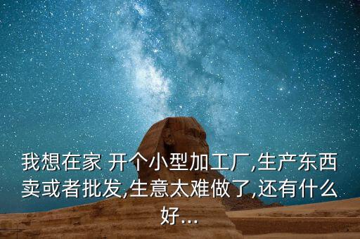 我想在家 開個小型加工廠,生產(chǎn)東西賣或者批發(fā),生意太難做了,還有什么好...