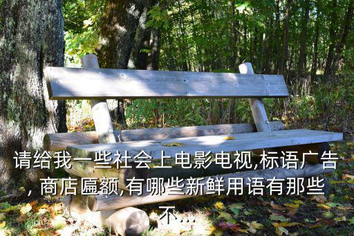 請(qǐng)給我一些社會(huì)上電影電視,標(biāo)語(yǔ)廣告, 商店匾額,有哪些新鮮用語(yǔ)有那些不...