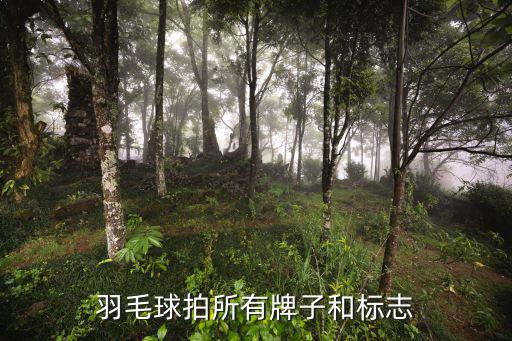 運動品牌logo大全名稱,潮流品牌logo大全名稱