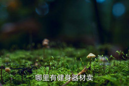 體育用品去哪個平臺買好