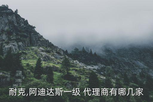 有什么體育用品代理品牌,大為蘇州體育用品 是代理哪個品牌