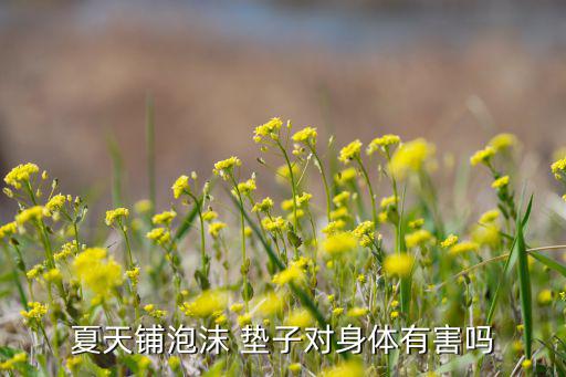 夏天鋪泡沫 墊子對(duì)身體有害嗎