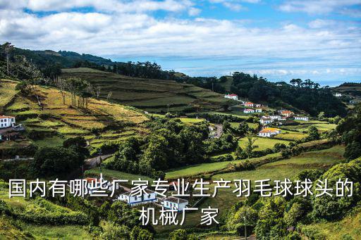 江都有哪些體育用品廠,江蘇省揚(yáng)州市江都區(qū)體育用品公司