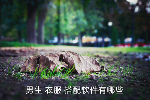 男士搭配衣服的app,時尚男士穿搭