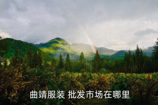  曲靖服裝 批發(fā)市場(chǎng)在哪里