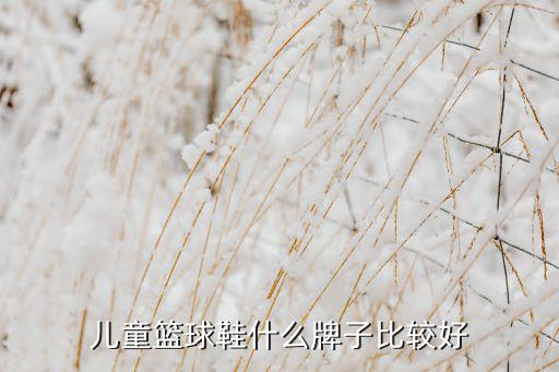 小孩體育用品有哪些品牌,國(guó)內(nèi)運(yùn)動(dòng)品牌的體育用品有哪些