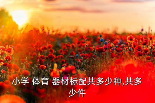小學(xué) 體育 器材標(biāo)配共多少種,共多少件