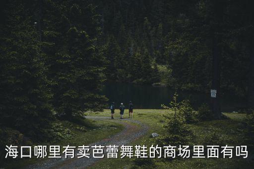 ?？谀睦镉匈u芭蕾舞鞋的商場里面有嗎