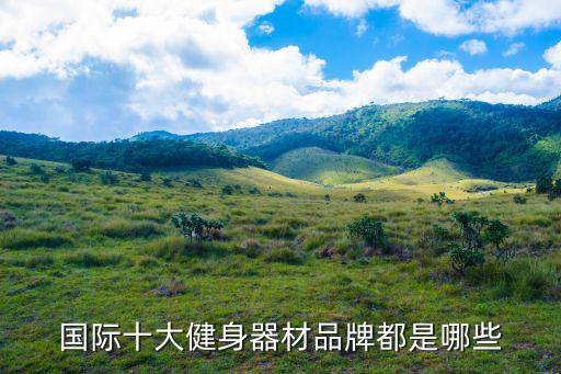 運(yùn)動(dòng)器材廠家排行榜,普拉提運(yùn)動(dòng)器材廠家