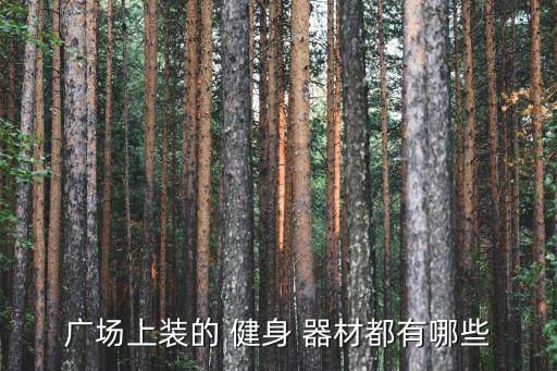廣場上裝的 健身 器材都有哪些