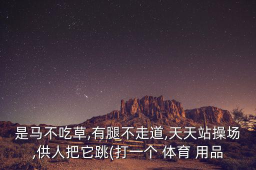 下課時玩的體育用品是什么