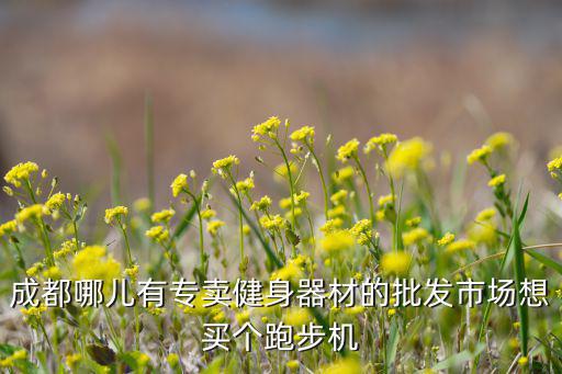附近哪里有運(yùn)動(dòng)器賣