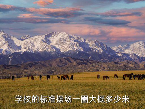 學(xué)校的標(biāo)準(zhǔn)操場一圈大概多少米