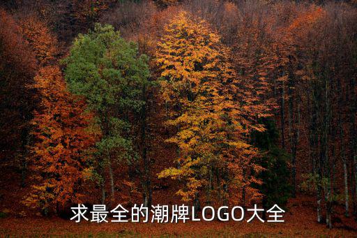 logo商標圖片大全,比亞迪汽車的bw之謎