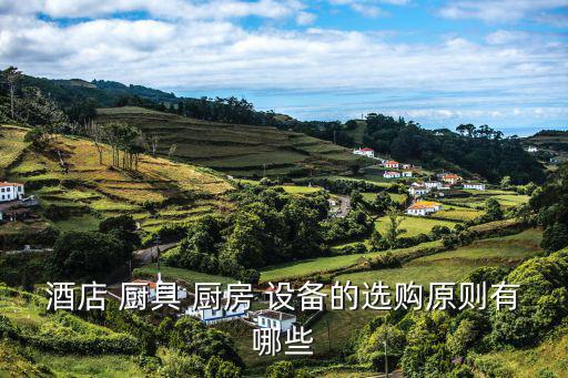 酒店 廚具 廚房 設(shè)備的選購原則有哪些