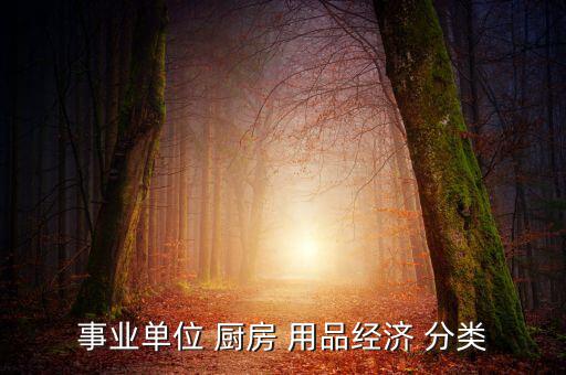 事業(yè)單位 廚房 用品經(jīng)濟(jì) 分類