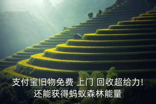 支付寶舊物免費(fèi) 上門 回收超給力!還能獲得螞蟻森林能量