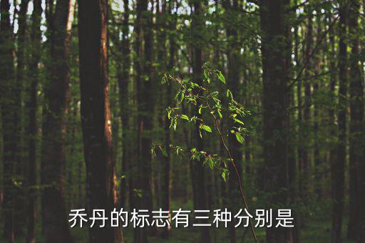 喬丹的標志有三種分別是