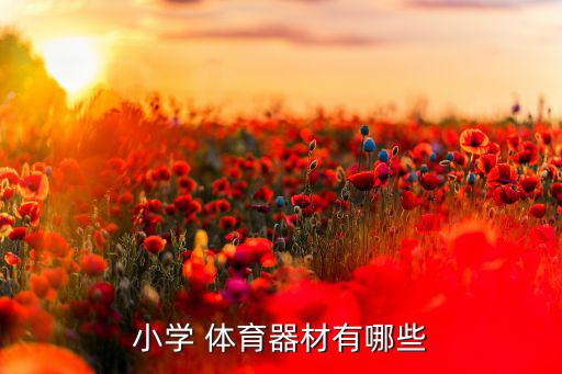 古代學(xué)校的體育用品有哪些,學(xué)校體育用品有哪些東西圖片
