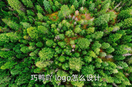 巧鴨吖 logo怎么設(shè)計